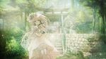  blue_eyes cross cura dress forest green headdress lolita_fashion long_hair mizusawa_hikaru monobeno photoshop shrine thighhighs torii tree watermark white_hair wristwear 