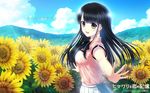  black_eyes black_hair flowers himawari_to_koi_no_kioku kazuharu_kina long_hair seifuku skirt sunflower tsukinoura_ai 