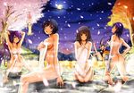  ass bakemonogatari bandage blonde_hair blue_eyes blue_hair blush breasts brown_eyes cherry_blossoms group hachikuji_mayoi hanekawa_tsubasa kanbaru_suruga long_hair monogatari_(series) moon night nude onsen oshino_shinobu petals school_swimsuit sengoku_nadeko senjougahara_hitagi short_hair swimsuit towel twintails yuki_mizore 