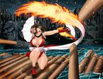  black_eyes black_hair breasts cleavage fatal_fury fire japanese_clothes king_of_fighters pao_(otomogohan) shiranui_mai water 