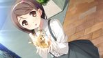  animal blush braids brown_eyes brown_hair cube game_cg headband hirosaki_kanade kantoku skirt your_diary 