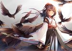  animal bird hat japanese_clothes koxo-01 red_eyes shameimaru_aya short_hair touhou 