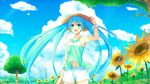  aqua_eyes aqua_hair clouds flowers hat hatsune_miku long_hair sakakidani summer sunflower vocaloid 