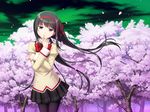  akemi_homura cherry_blossoms mahou_shoujo_madoka_magica seifuku tucana 