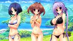  bikini blush clochette game_cg hoshizaki_ouka oshiki_hitoshi sakigake_generation shikishima_natsume swimsuit watanuki_atsumori 