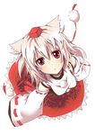  :o animal_ears chata_maru_(irori_sabou) detached_sleeves expressionless foreshortening from_above hat highres inubashiri_momiji looking_up red_eyes short_hair silver_hair solo staring tokin_hat touhou wolf_ears 