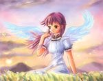  artist_request brown_eyes bug butterfly copyright_request dress insect outdoors purple_hair solo wings 