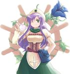  bag belt bottle chemist_(final_fantasy) corset doseki_udon dress faris_scherwiz final_fantasy final_fantasy_v flask flower green_eyes hat leaf long_hair one_eye_closed plant purple_hair round-bottom_flask ship's_wheel smile solo steering_wheel vines 