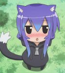  :&lt; acchi_kocchi animal_ears animated animated_gif cat_ears cat_tail miniwa_tsumiki tail 