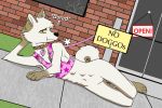  anthro attitude bottomless breasts canid canine canis casual_nudity clothed clothing collar domestic_dog female gloves humor husky invalid_tag leash legwear looking_at_viewer lying mammal nipples nude paws public public_nudity pussy socks solo teikowouf_(artist) wide_hips 