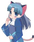  1girl artist_request blue_eyes blue_hair cat eyebrows eyebrows_visible_through_hair eyes_visible_through_hair flat_chest furry smile stare_priss tail_concerto 