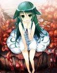  green_eyes green_hair hoshikuzu legs saya saya_no_uta solo 