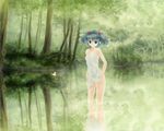  bad_id bad_pixiv_id bare_shoulders blue_eyes blue_hair bug butterfly forest hair_bobbles hair_ornament highres insect kawashiro_nitori keiko220 legs nature nightgown reflection scenery solo touhou tree twintails two_side_up wading water wet 