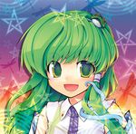  bug commentary_request detached_sleeves dragonfly ebizome frog green_eyes green_hair hair_ornament insect kochiya_sanae long_hair snake solo star touhou 
