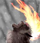  cosmo_(pixiv12140406) fire infernape pokemon pokemon_(game) roaring snow tagme 
