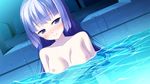  1girl blue_eyes blush breasts closed_mouth collarbone game_cg ichiban_janakya_dame_desu_ka? kinta_(distortion) long_hair looking_at_viewer mitsuki_ruri nipples purple_hair rosebleu smile solo water wet 