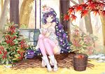  bare_shoulders berries boots braids bucket crown duzie_e female flower green_eyes hair_flower headdress leaf leaves looking_at_viewer love_live!_school_idol_project mini_crown outdoors purple_hair sitting smile solo summer_dress sundress thighhighs toujou_nozomi tree very_long_hair water well 
