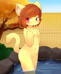  artist_request brown_hair cat furry onsen red_eyes short_hair yakimo 