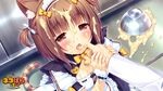  azuki_(sayori) blush cat_ears cat_tail nekopara sayori sexually_suggestive tail 