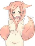  1girl animal_ears blush breasts brown_eyes condom condom_in_mouth ebi_shamo fire_emblem fire_emblem:_kakusei mouth_hold my_unit_(fire_emblem:_kakusei) pussy red_hair simple_background solo tail twintails 
