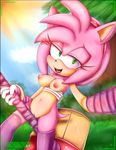  1girl amy_rose blush breasts furry hammer hearless_soul nipples open_mouth pussy sega sonic_the_hedgehog 