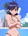  1girl akahori_gedou_hour_rabuge bare_shoulders bikini blue_hair blush breasts brown_eyes cleavage cloud covering covering_breasts embarrassed female large_breasts looking_at_viewer navel palm_tree red_bikini sashima_kaoruko screencap solo standing stitched swimsuit 
