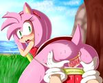  1girl amy_rose anus ass blush from_behind hammer hearless_soul open_mouth sonic_the_hedgehog spread_pussy uncensored 