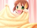  animal_ears blanket blush brown_hair dog_ears fang green_eyes inuarashi meiko_(inuarashi) original short_hair smile solo 