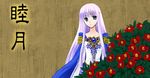  74 camellia cape circlet dress fire_emblem fire_emblem:_seisen_no_keifu flower frown lavender_hair long_hair new_year purple_eyes solo translation_request yuria_(fire_emblem) 