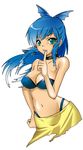  bikini blue_eyes blue_hair breasts drill_hair large_breasts midriff ponytail solo swimsuit tonkatsu_(zombies) umi_monogatari warin 