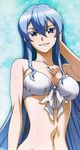  1girl akame_ga_kill! bikini blue_hair breasts esdeath large_breasts official_art swimsuit 
