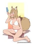  animal_humanoid barefoot bikini breasts bunny_and_fox_world canid canid_humanoid canine canine_humanoid clothing d-rex dure female food fox fox_humanoid fur green_eyes hair humanoid kitsuru_(cathare) mammal markings popsicle swimsuit whisker_markings 