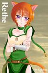  1girl cat_ears cat_tail female fire_emblem highres lethe nintendo solo starlight_express tail 