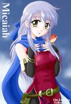  1girl bird female fire_emblem highres micaiah_(fire_emblem) nintendo solo starlight_express tagme 