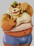  00murice 2019 anthro ashigara belly black_nose brown_fur bulge clothing fur humanoid_hands male mammal navel one_eye_closed overweight overweight_male shirt shorts simple_background solo tokyo_afterschool_summoners ursid video_games wink 
