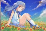  absurdres blue_hair brown_eyes flower flower_(kowarekake) highres kowarekake_no_orgel long_hair mary_janes megami pop shoes sitting solo sunflower 