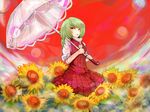  ascot dress fisheye flower green_hair kaoru_(pixiv) kazami_yuuka parasol plaid plaid_skirt plaid_vest red_eyes sitting skirt skirt_set solo sunflower touhou umbrella vest 