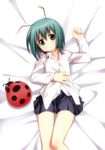  antennae bad_id bad_pixiv_id bug green_eyes green_hair insect ladybug lying on_back shirt short_hair skirt solo stuffed_animal stuffed_toy touhou umekichi white_shirt wriggle_nightbug 