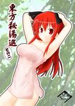  1girl alternate_hairstyle animal_ears bad_id bad_pixiv_id cat_ears cover cover_page doujin_cover hair_down impossible_towel kaenbyou_rin long_hair naked_towel red_eyes red_hair solo touhou towel 