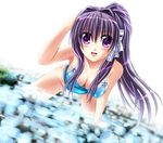  all_fours bent_over breasts clannad cleavage downblouse dutch_angle fujibayashi_kyou long_hair medium_breasts otoki_raku partially_submerged ponytail purple_eyes purple_hair ribbon swimsuit water 