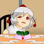  bikkuru bowl broccoli chair disgust food hat inubashiri_momiji lowres meme parody pet_bowl solo table tokin_hat touhou uneven_eyes vegetable when_you_see_it yukkuri_shiteitte_ne 