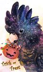  bird candy cockatoo feathers food halloween pumpkin purple trick_or_treat yu_(dryads) 