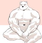  2019 5_fingers abs anthro biceps digital_media_(artwork) fur hi_res male mammal muscular muscular_male nipples pecs polar_bear simple_background solo syukapong ursid ursine white_fur 