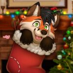 animal_humanoid anthro canid canid_humanoid canine canine_humanoid christmas clothing footwear fox fox_humanoid hi_res holidays humanoid legwear lights male mammal mammal_humanoid naoto plant socks solo stockings tree ych_(character)