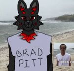 adult_swim anthro beach beach_background black_body black_fur brad_pitt canid canine canis cartoon_network clothed clothing coyote earl_sweatshirt_(rapper) fur humanoid loiter_squad low_res male mammal mayonaissse_(artist) meme odd_future red_ear_fluff red_eyes seaside shirt shoreline solo star_marking t-shirt topwear yotega_(mayonaissse)