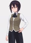  1girl ascot black_ascot black_hair black_pants breasts brown_eyes brown_vest collared_shirt copyright_request hair_between_eyes hair_ornament hairclip highres long_sleeves pant_suit pants shirt small_breasts solo suit taji_(crowview) vest white_shirt 