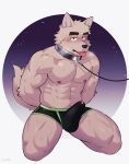 abs absurd_res anthro biceps biped blush bodily_fluids canid canine clothed clothing collar erection erection_under_clothing eyebrows fur genital_fluids hi_res kemono leash leashed_collar luwei_(artist) male mammal muscular muscular_anthro muscular_male pecs precum precum_through_clothing solo tail tenting tongue tongue_out wet wet_clothing