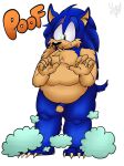 absurd_res anthro eulipotyphlan fan_character hedgehog hi_res male mammal overweight overweight_anthro overweight_male sega shadydaone solo sonic_the_hedgehog sonic_the_hedgehog_(series) ych_(character)