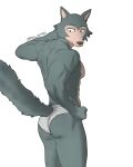 anthro beastars canid canine canis clothed clothing diko_artz hi_res legoshi_(beastars) looking_back male mammal muscular muscular_male pulling_underwear solo underwear underwear_only wedgie wolf