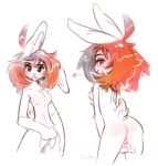  &lt;3 anthro anus blush breasts butt female hair lagomorph looking_at_viewer looking_back mammal multiple_angles nude orange_hair panken pussy rabbit rear_view simple_background smile solo suggestive_look white_background 